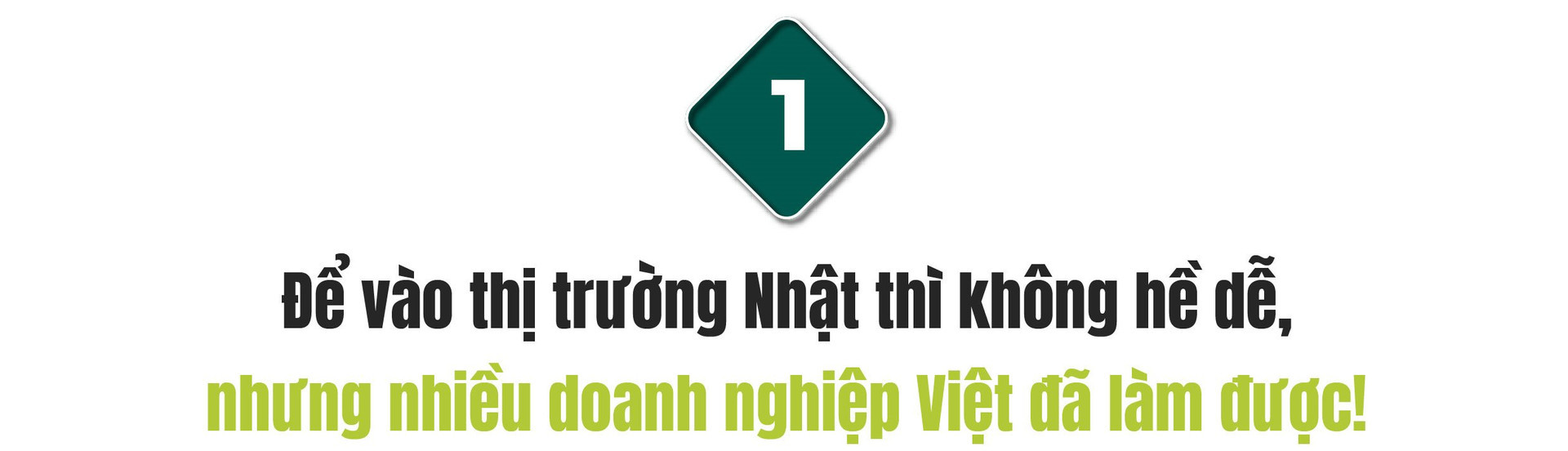 Ceo Rikkei Japan Nguoi Nhat Se Co Cai Nhin Khac Ve Nguoi Viet Nam 2258