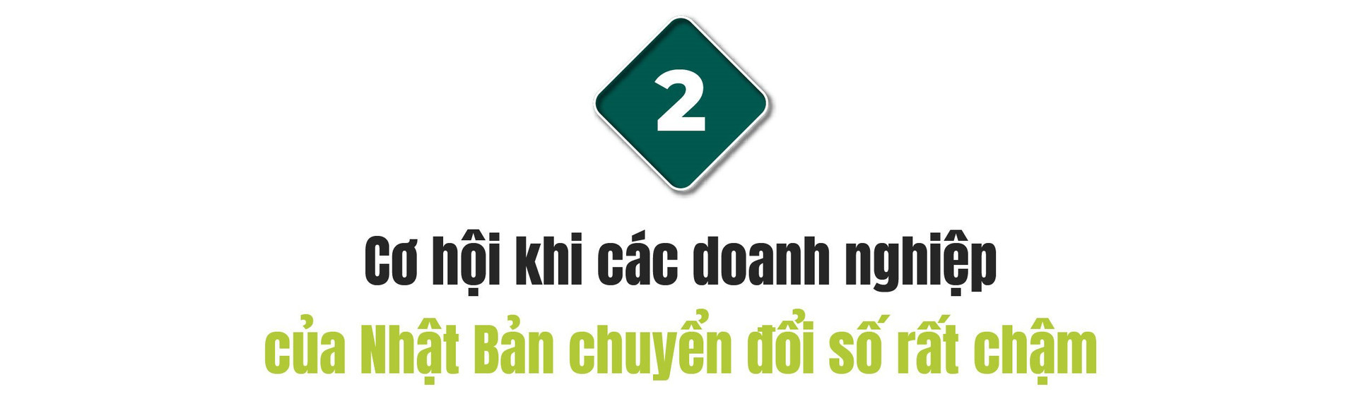 Ceo Rikkei Japan Nguoi Nhat Se Co Cai Nhin Khac Ve Nguoi Viet Nam 2261